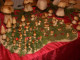 Holz-Pilze 004