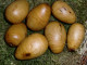 Deko-Obst 004