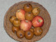 Deko-Obst 006