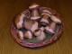 Holz-Pilze 014