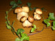 Holz-Pilze 015