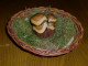 Holz-Pilze 019