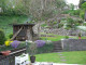 Mein Garten 2006 - 002