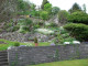 Mein Garten 2006 - 003