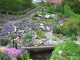 Mein Garten 2006 - 005