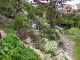 Mein Garten 2006 - 006