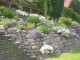 Mein Garten 2006 - 007