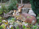 Mein Garten 2006 - 011