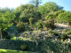Mein Garten 2011 - 001