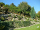 Mein Garten 2011 - 004