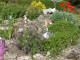 Mein Garten Blumen - 001
