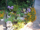 Mein Garten Blumen - 006